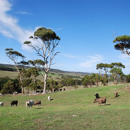 Back Valley Farmstay Bed And Breakfast 维克多港 外观 照片