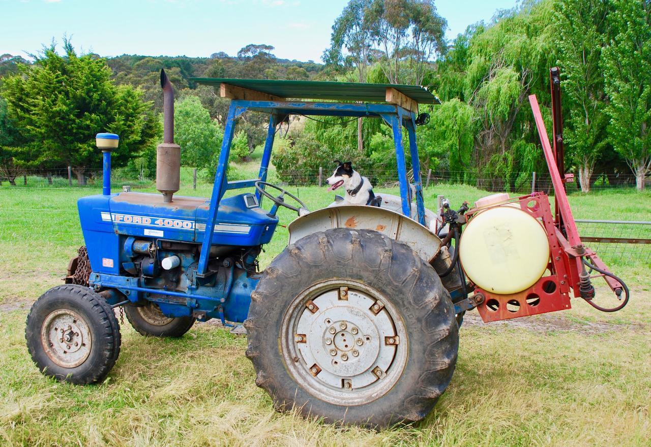 Back Valley Farmstay Bed And Breakfast 维克多港 外观 照片