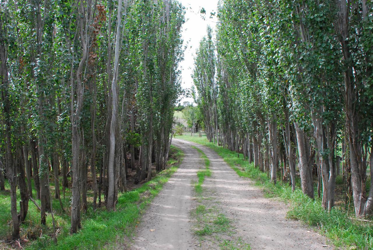 Back Valley Farmstay Bed And Breakfast 维克多港 外观 照片