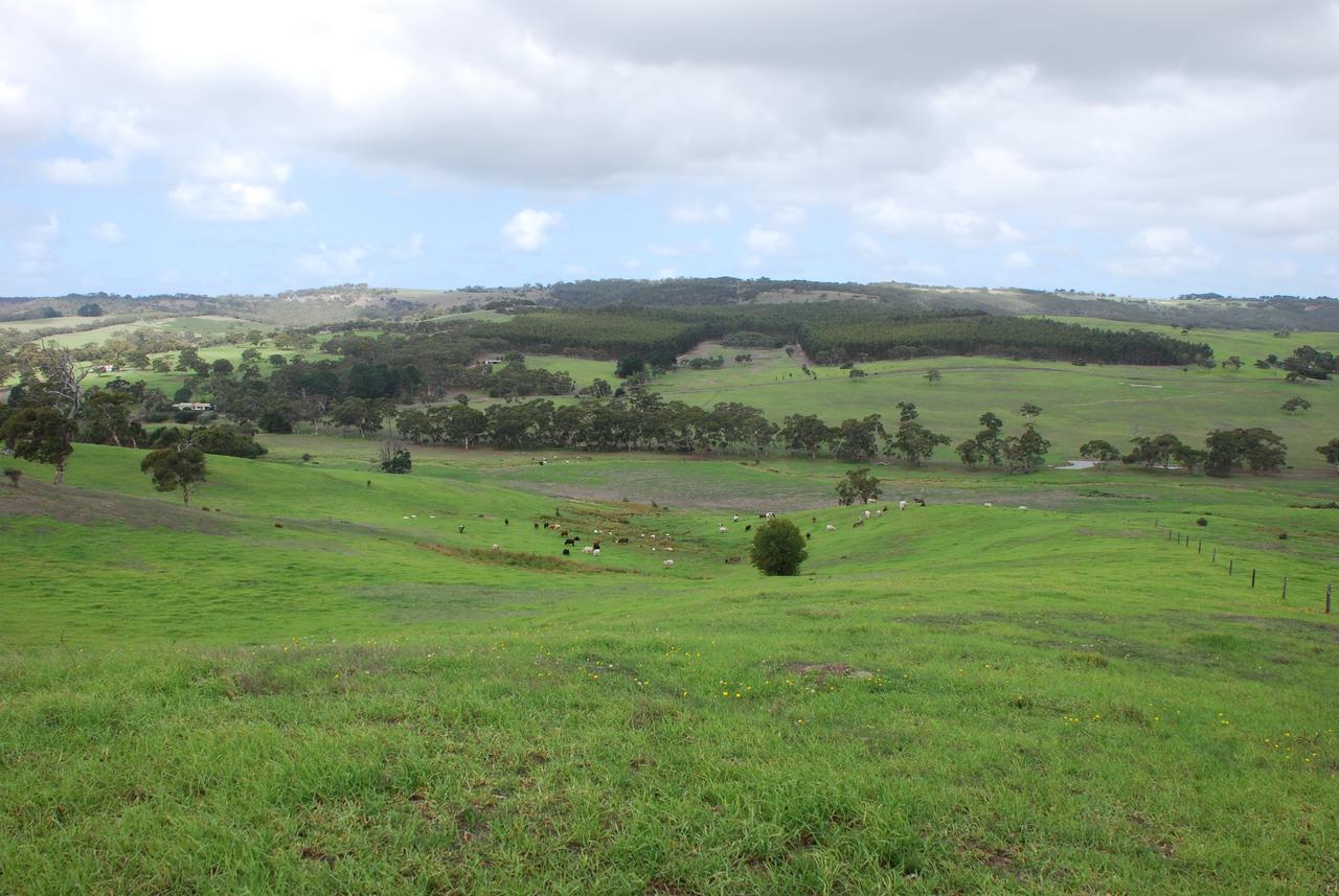 Back Valley Farmstay Bed And Breakfast 维克多港 外观 照片