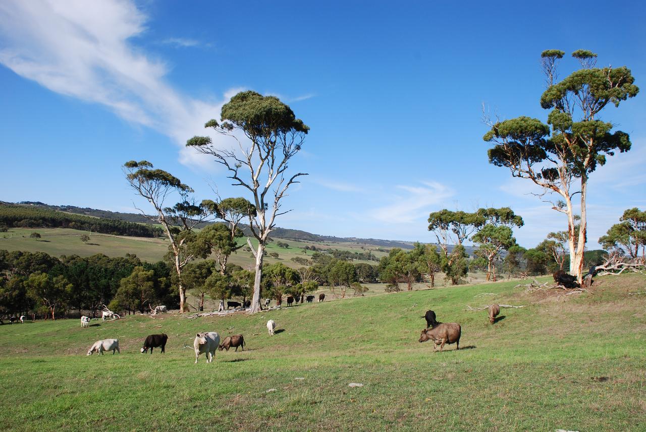 Back Valley Farmstay Bed And Breakfast 维克多港 外观 照片